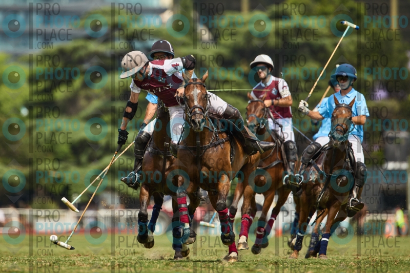 0839-R6-IMG_3788