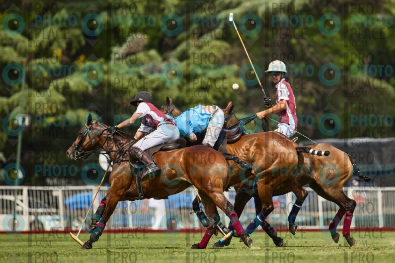 0849-R6-IMG_3803