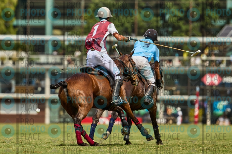 0980-R6-IMG_3967