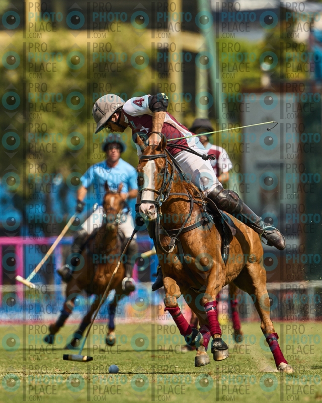 1081-R6-IMG_4102