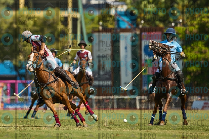 1085-R6-IMG_4106