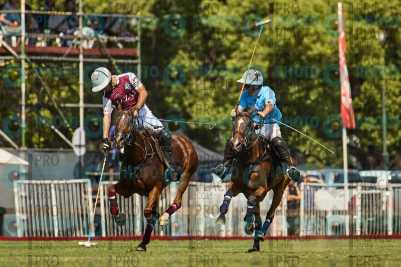 1151-R6-IMG_4196