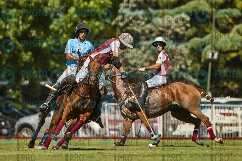 1193-R6-IMG_4243