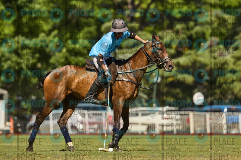 1260-R6-IMG_4333