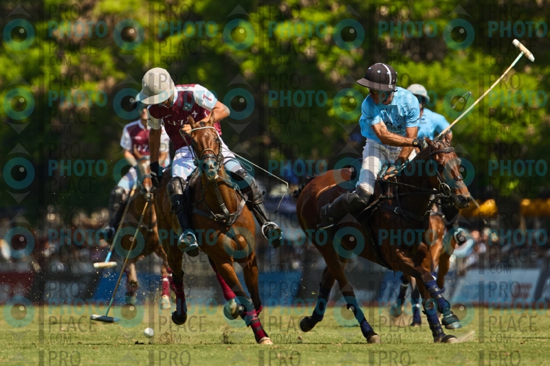 1283-R6-IMG_4360