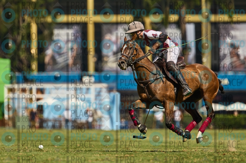 1308-R6-IMG_4388