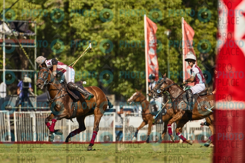1340-R6-IMG_4432