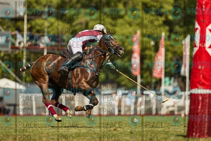 1378-R6-IMG_4476
