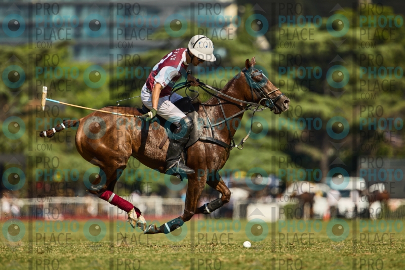 1389-R6-IMG_4487