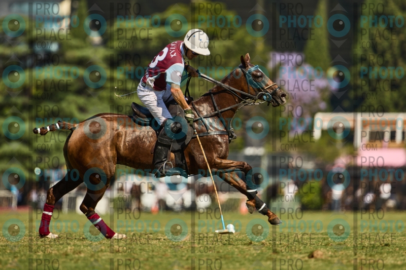 1392-R6-IMG_4490