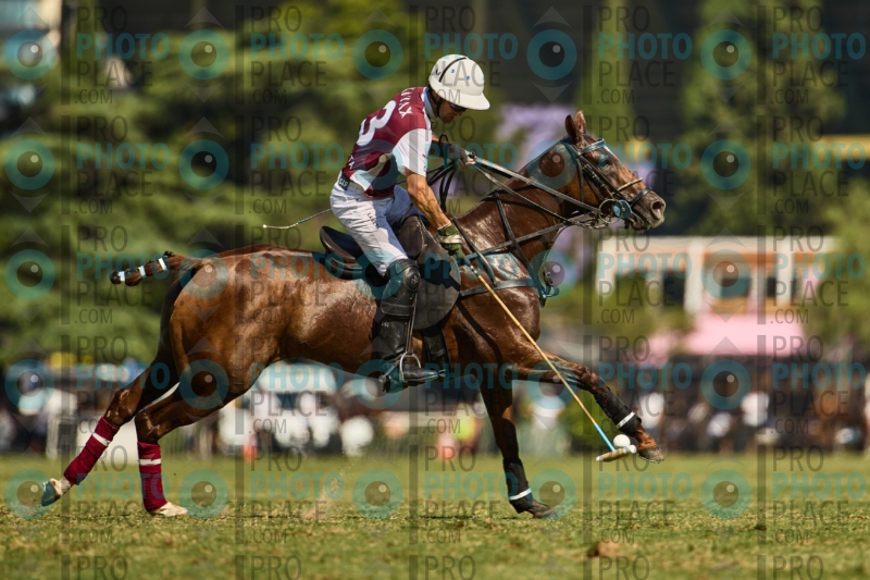 1393-R6-IMG_4491