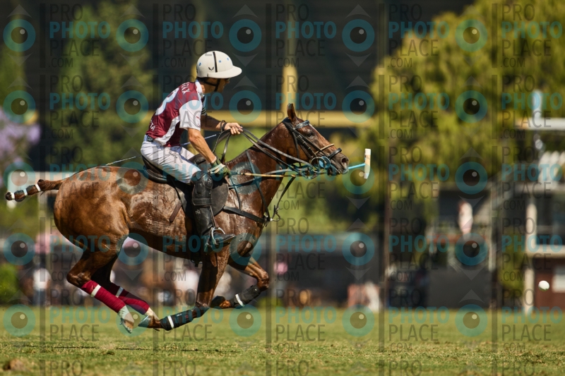 1397-R6-IMG_4495