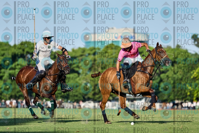 0841-R6-IMG_5983