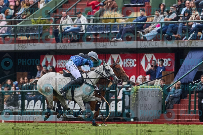 1376-R6-IMG_8229