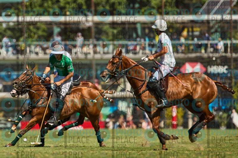 R6-IMG_4646