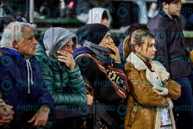 MG_10517