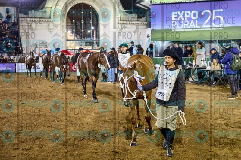 MG_10644
