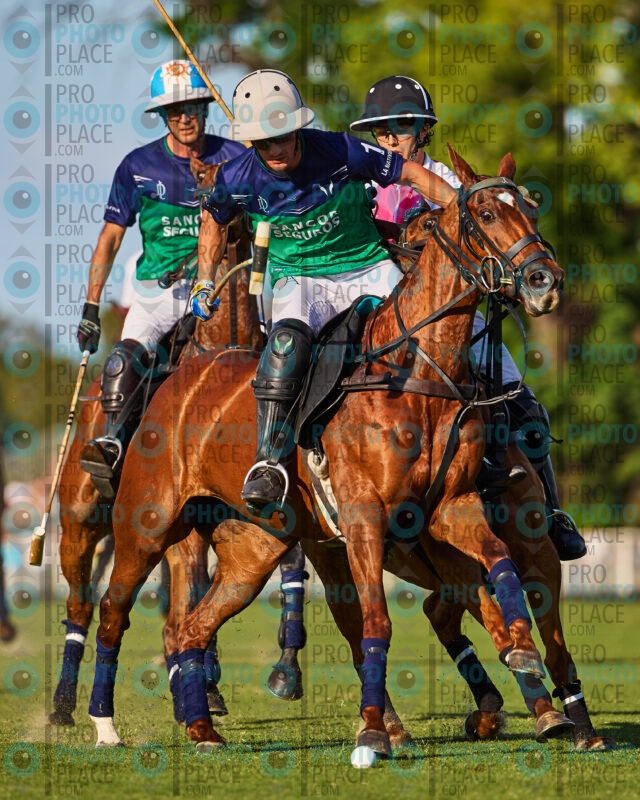 0962-R6-_MG_5800