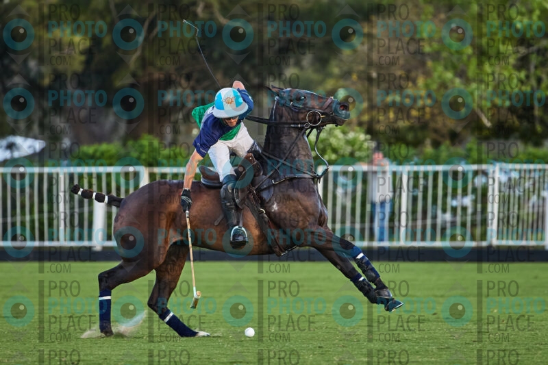 1411-R6-_MG_6303