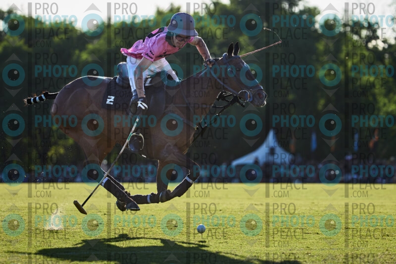 1178-R6-_MG_2600