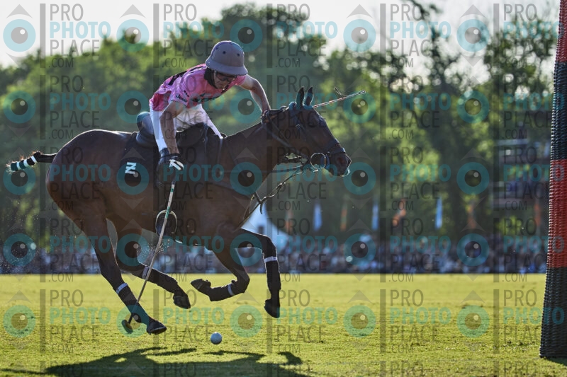 1179-R6-_MG_2601