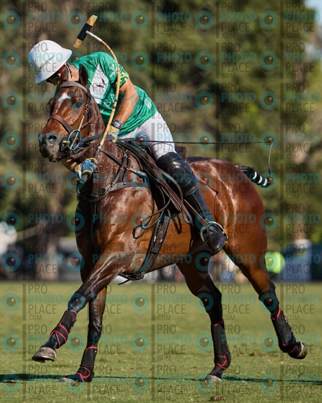 0765-R6-IMG_8409-0