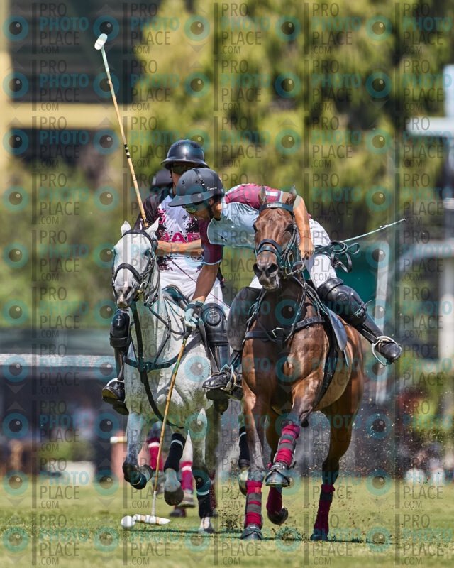 0398-R6-_MG_4016