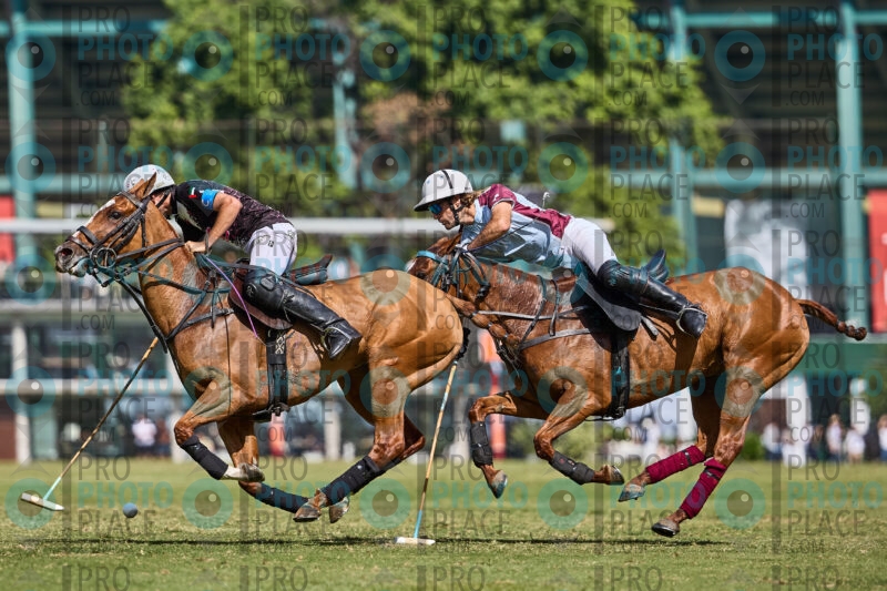 0770-R6-_MG_4496