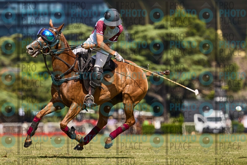 0774-R6-_MG_4506