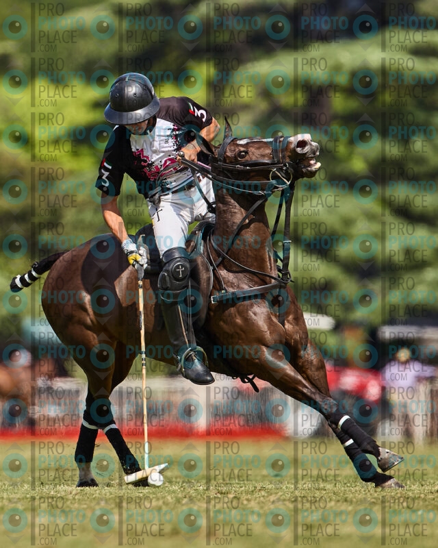 0777-R6-_MG_4525