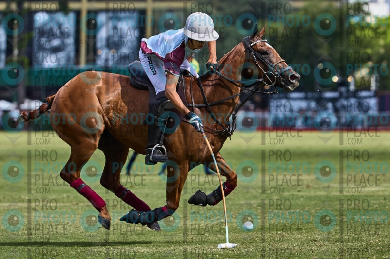 0934-R6-_MG_4744
