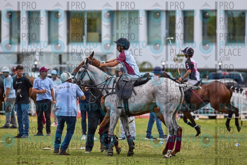 0947-R6-_MG_4765