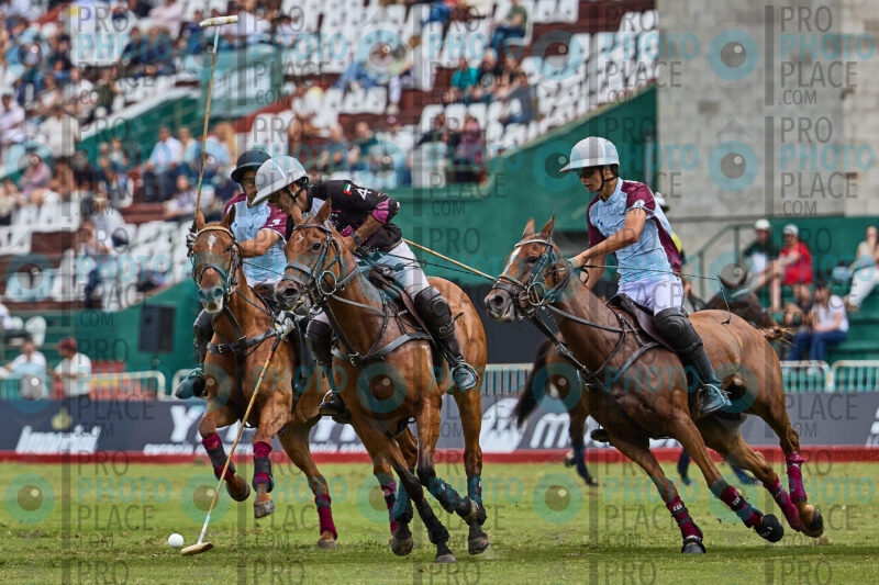 0973-R6-_MG_4791