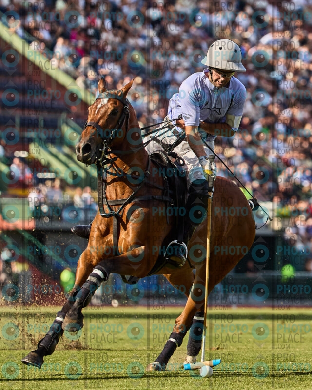 238-R6-_MG_5125