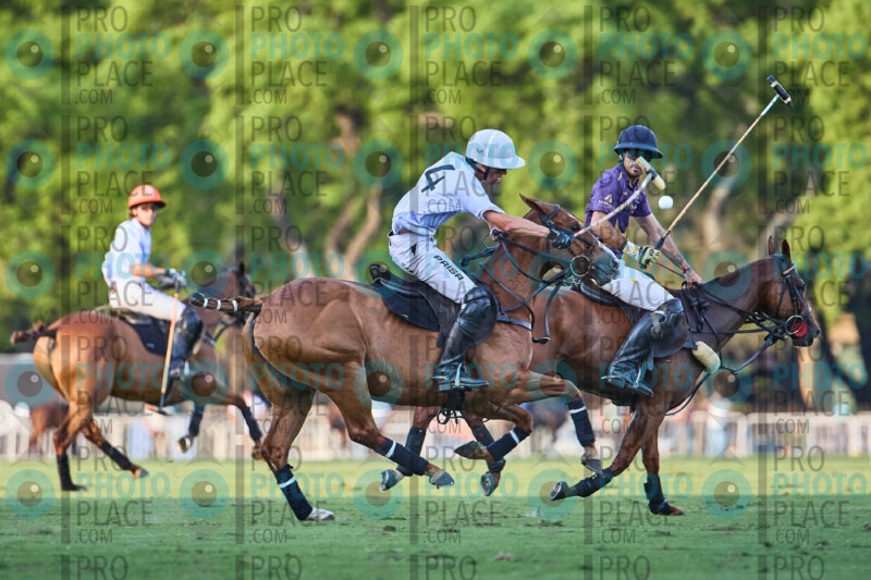 734-R6-_MG_5796