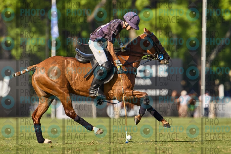 249-R6-_MG_6304