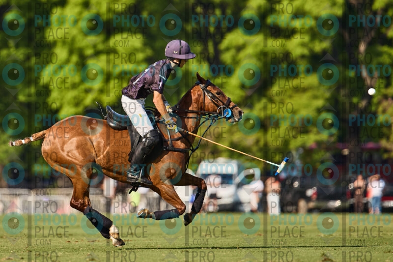 256-R6-_MG_6311