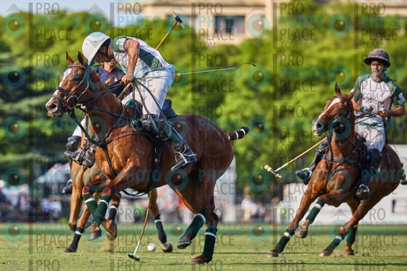 299-R6-_MG_6378