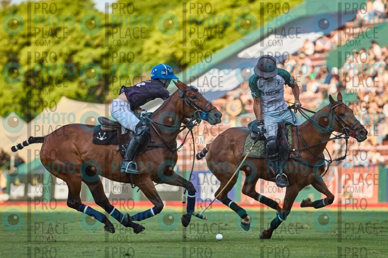 488-R6-_MG_6653