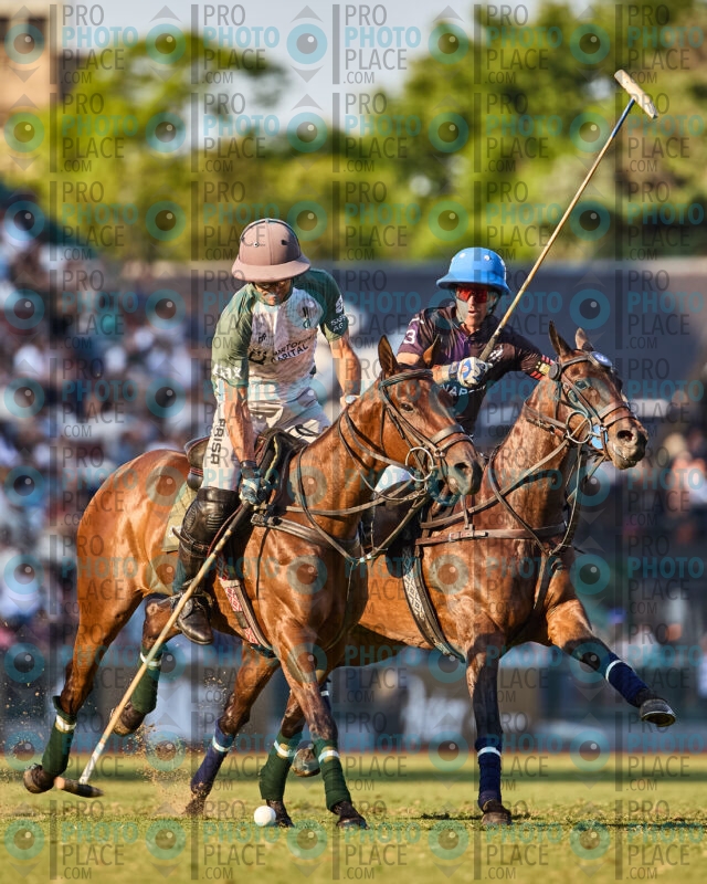 511-R6-_MG_6706