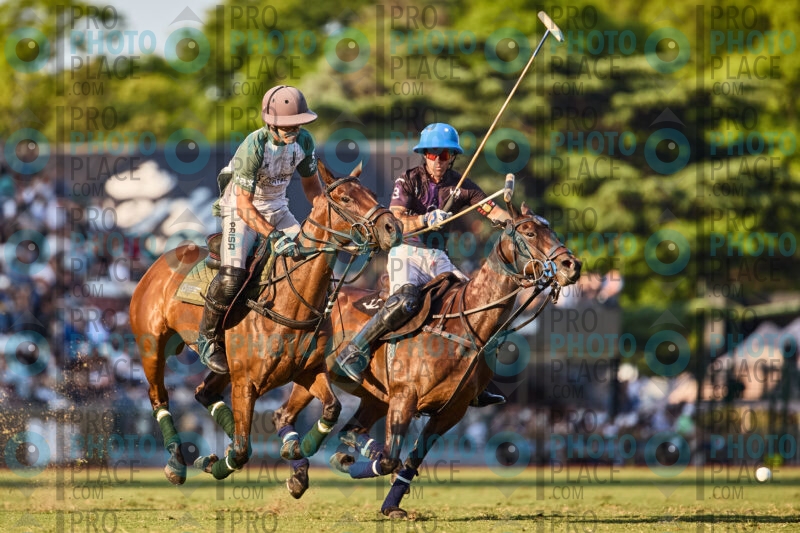514-R6-_MG_6709