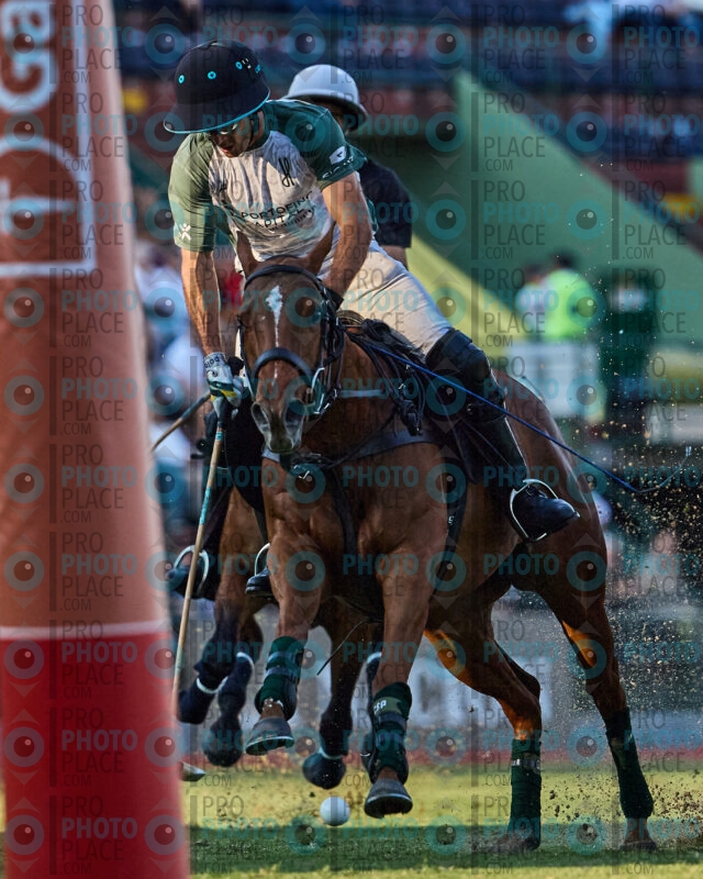 576-R6-_MG_6784