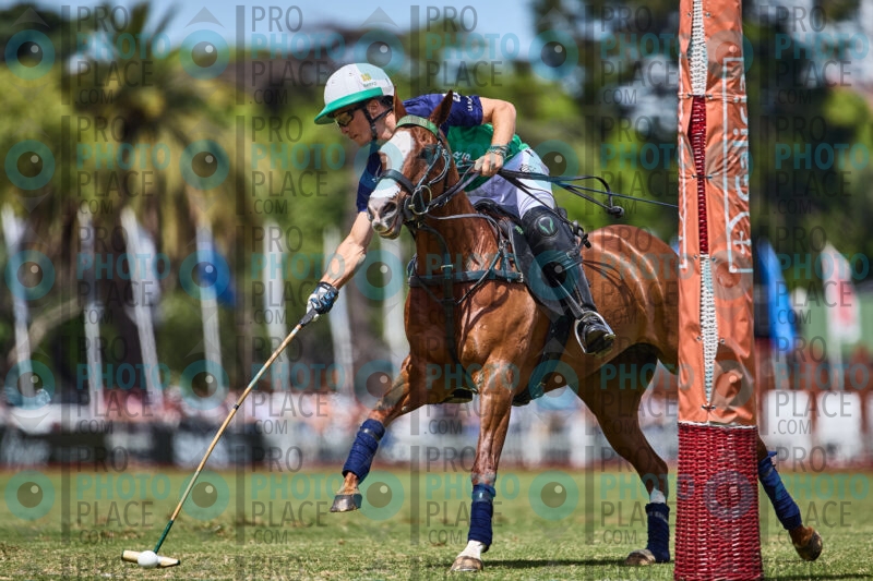 0438-R6-_MG_08733