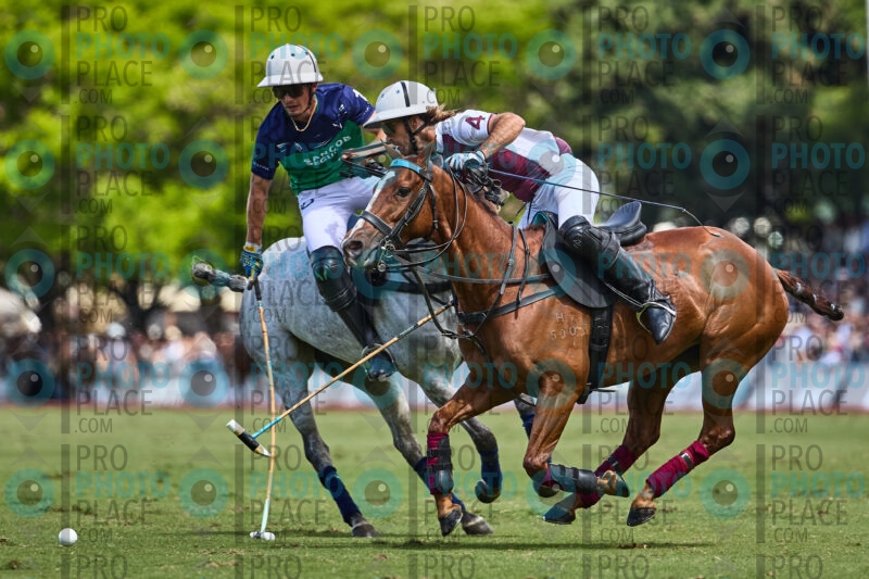 0850-R6-_MG_09206
