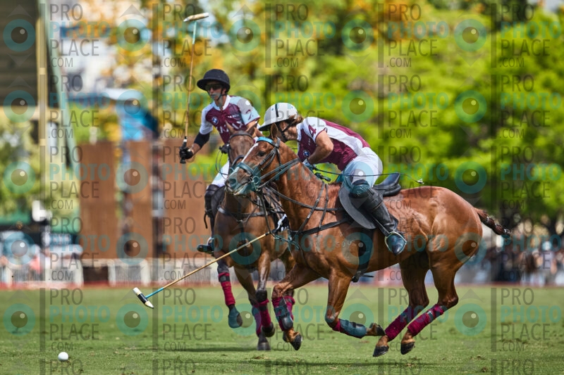 0858-R6-_MG_09214