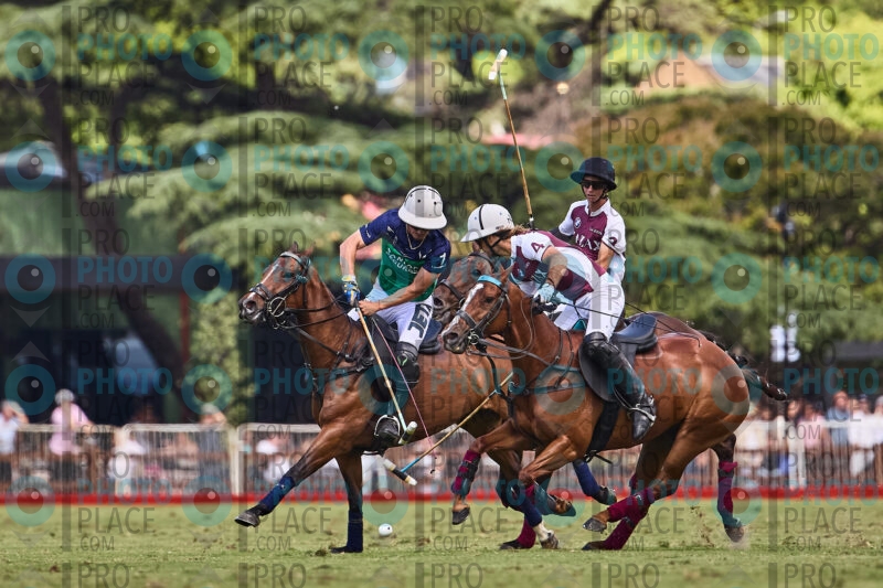 0883-R6-_MG_09239