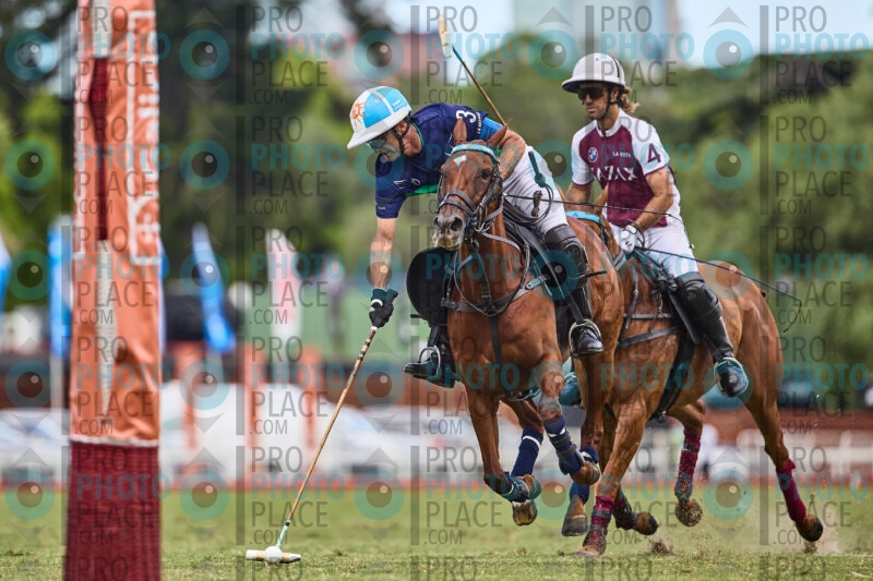 1133-R6-_MG_09503