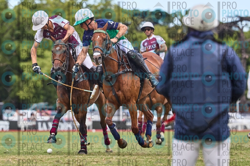 1284-R6-_MG_09659