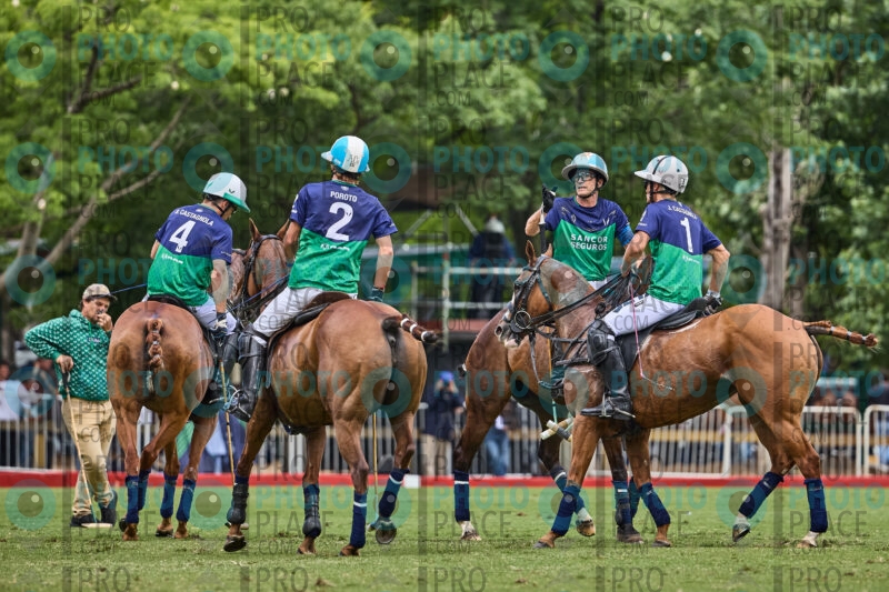 1416-R6-_MG_09800