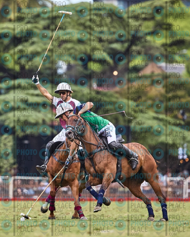 1667-R6-_MG_10077